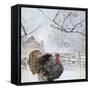 Christmas turkey-Clare Davis London-Framed Stretched Canvas