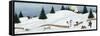 Christmas Valley Snowman-David Carter Brown-Framed Stretched Canvas