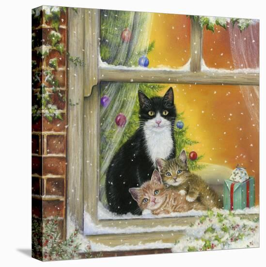 Christmas Window-Janet Pidoux-Stretched Canvas