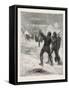 Christmas with the Arctic Expedition, 1876, Fresh Meat for Dinner-null-Framed Stretched Canvas