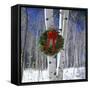 CHRISTMAS WREATH OF GREENS AND PINE CONES HANGING ON BIRCH TREE ON WINTER DAY-Panoramic Images-Framed Stretched Canvas