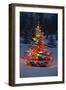 Christmas-null-Framed Photographic Print