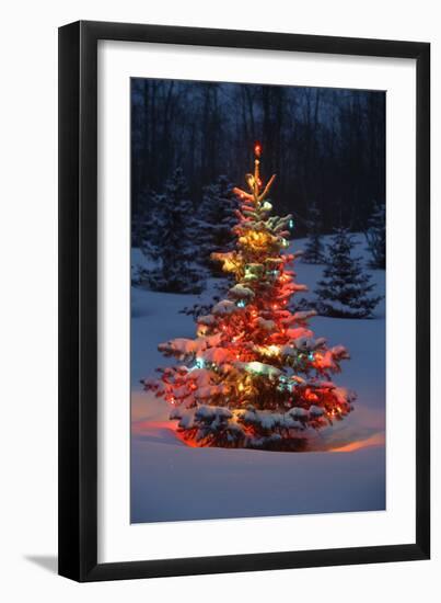 Christmas-null-Framed Photographic Print