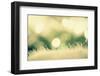 Christmassy or Wintry Background-Petra Daisenberger-Framed Photographic Print