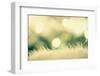 Christmassy or Wintry Background-Petra Daisenberger-Framed Photographic Print