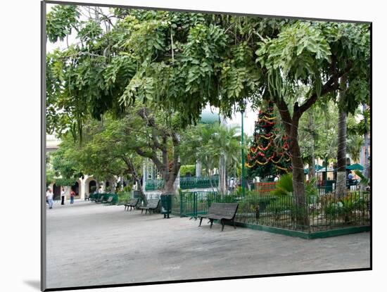 Christmastime at The Plazuela Machado in the Historic Center, Mazatlan, Mexico-Charles Sleicher-Mounted Premium Photographic Print