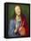 Christo Salvator Mundi (Unfinished), C. 1501-04-Albrecht Dürer-Framed Stretched Canvas