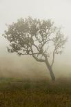 Scenery at Gunung Batur with Danau Batur-Christoph Mohr-Photographic Print