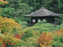 Lanterns at Kasuga Taishi Shine-Christophe Boisvieux-Photographic Print