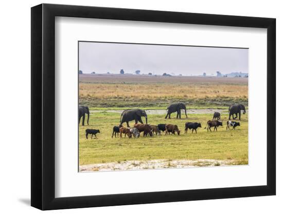 Premium Photographic Print, , large