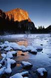 Sun Rays Streaming Through Snow Covered Trees, Yosemite National Park, California, USA-Christopher Bettencourt-Photographic Print