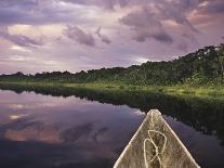 Napo Wildlife Center, Yasuni National Park, Amazon Basin, Ecuador-Christopher Bettencourt-Photographic Print