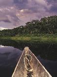 Napo Wildlife Center, Yasuni National Park, Amazon Basin, Ecuador-Christopher Bettencourt-Framed Photographic Print