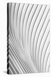 Calatrava Lines-Christopher Budny-Stretched Canvas