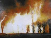Cane Burning, Burderkin Shire, Qld, 2010-Christopher Chua-Giclee Print