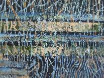 Pond at Cattana Wetlands, 2013-Christopher Chua-Framed Giclee Print