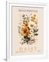 Gramercy White