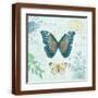 Brown Frame