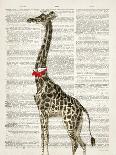 Dapper Giraffe-Christopher James-Art Print