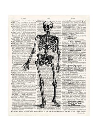 Vintage Anatomy Skeleton Premium Giclee Print - Christopher James ...