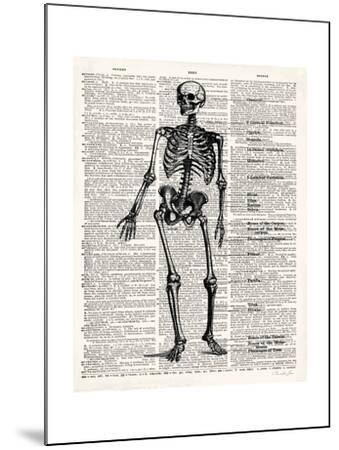 Vintage Anatomy Skeleton Mounted Premium Giclee Print - Christopher ...