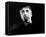 Christopher Lee-null-Framed Stretched Canvas