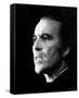 Christopher Lee-null-Framed Stretched Canvas