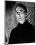 Christopher Lee-null-Mounted Photo
