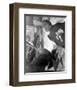 Christopher Lee-null-Framed Photo