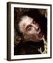 Christopher Lee-null-Framed Photo