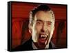 Christopher Lee-null-Framed Stretched Canvas