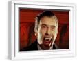 White Frame