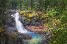 USA, Washington State, Mt. Rainier National Park. Silver Falls on the Ohanapecosh River.-Christopher Reed-Photographic Print