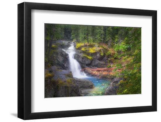 Premium Photographic Print, , large
