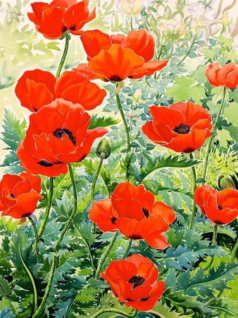 Vincent van Gogh Still Life Red Poppies and Daisies - Wall Art Print, 24x36