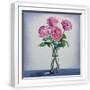 White Frame