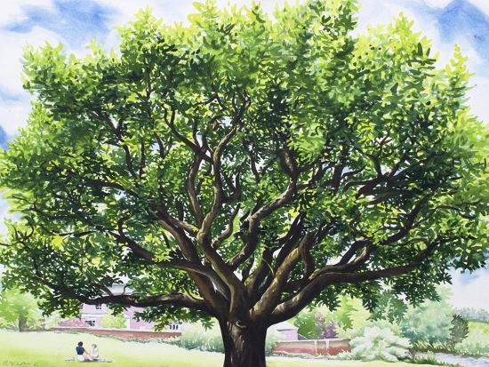 Giclee Print, , large
