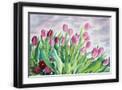 Black Frame