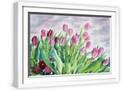 White Frame