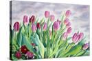 Stretched Canvas