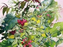 Garden Hydrangeas and Buddleia-Christopher Ryland-Giclee Print