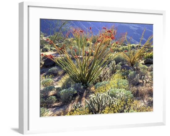 Framed Photographic Print, , large