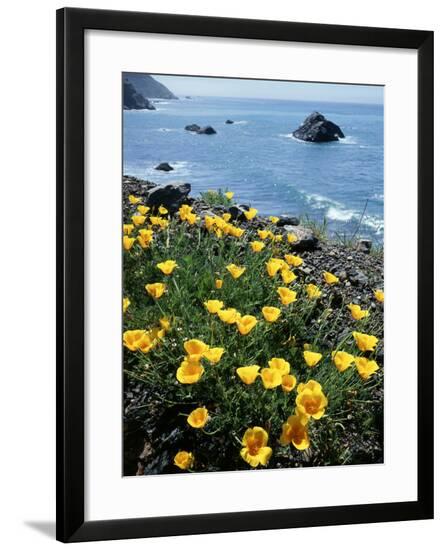 Framed Photographic Print, , large