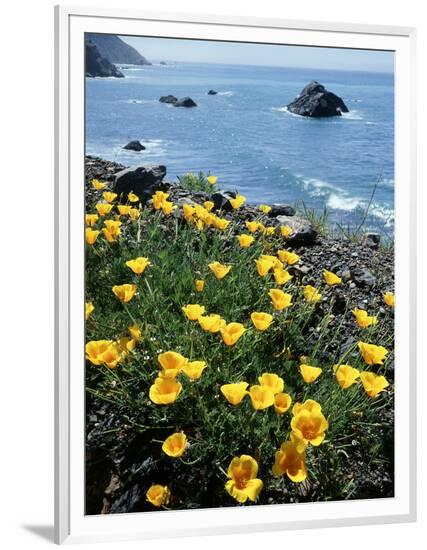 Framed Photographic Print, , large