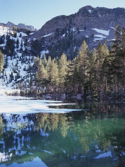 Premium Photographic Print, , large