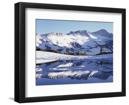Premium Photographic Print, , large