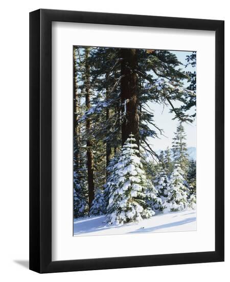 Premium Photographic Print, , large