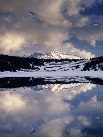 Premium Photographic Print, , large