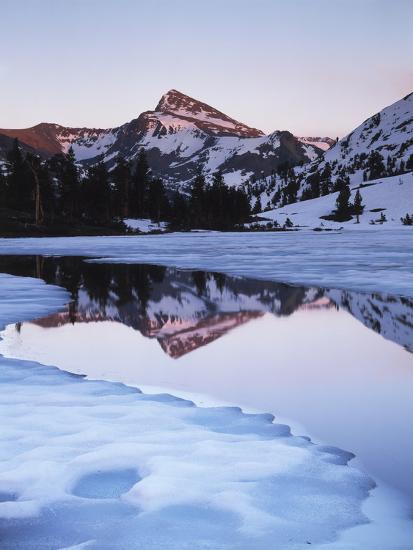 Premium Photographic Print, , large