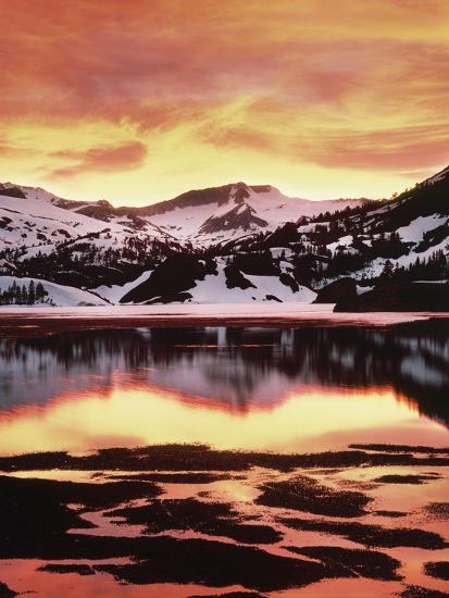 Premium Photographic Print, , large